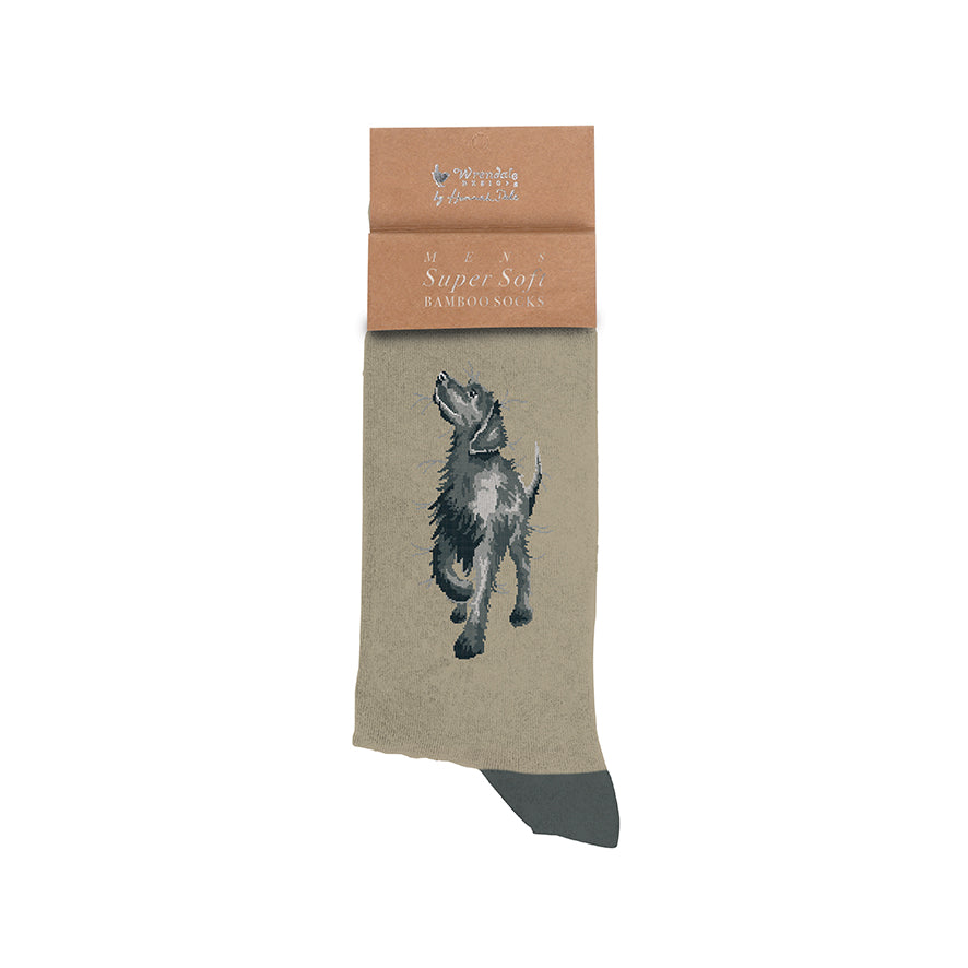 'Walkies' Labrador Men's Socks