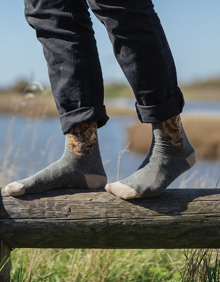 Wrendale 'In My Footsteps' Bear Men's Socks