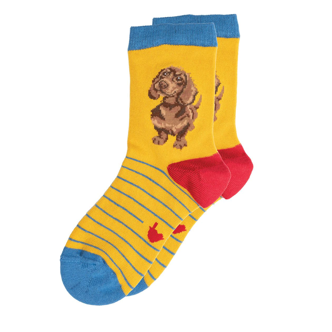 'Little One' Dachshund Children's Socks