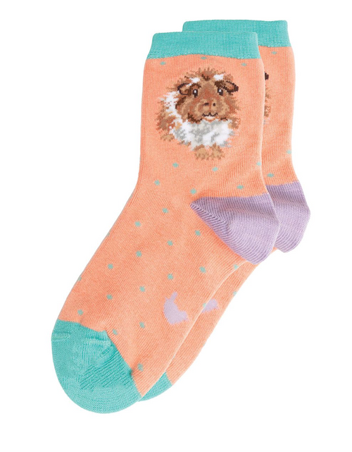 Load image into Gallery viewer, &#39;Grinny Pig&#39; Guinea Pig Children&#39;s Socks
