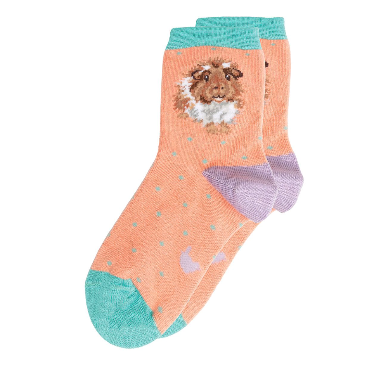 'Grinny Pig' Guinea Pig Children's Socks