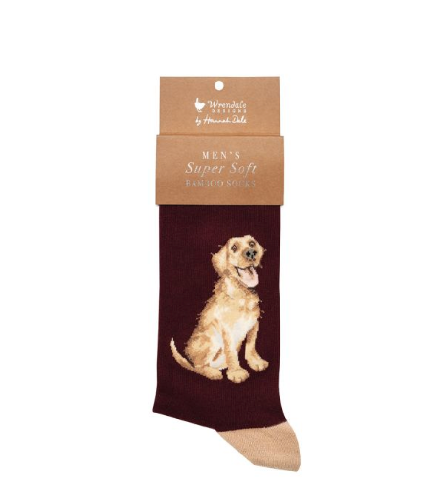 Wrendale Good As Gold Labrador Men's Socks