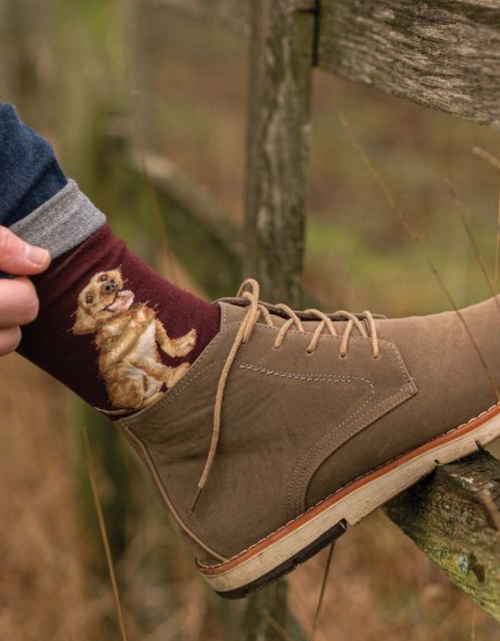Load image into Gallery viewer, Wrendale Good As Gold Labrador Men's Socks
