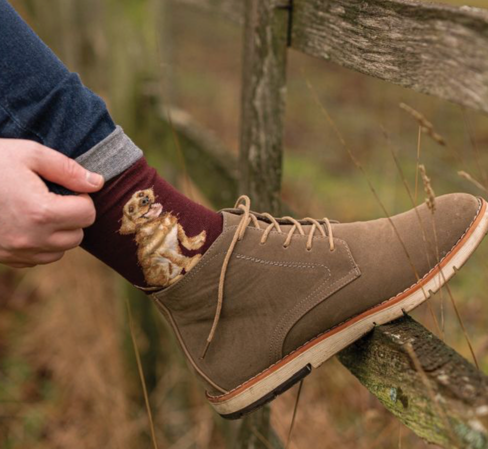 Wrendale Good As Gold Labrador Men's Socks