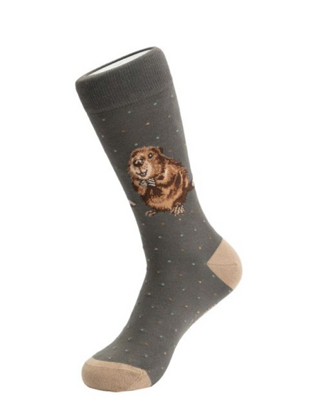 Wrendale The Arborist Beaver Men's Socks