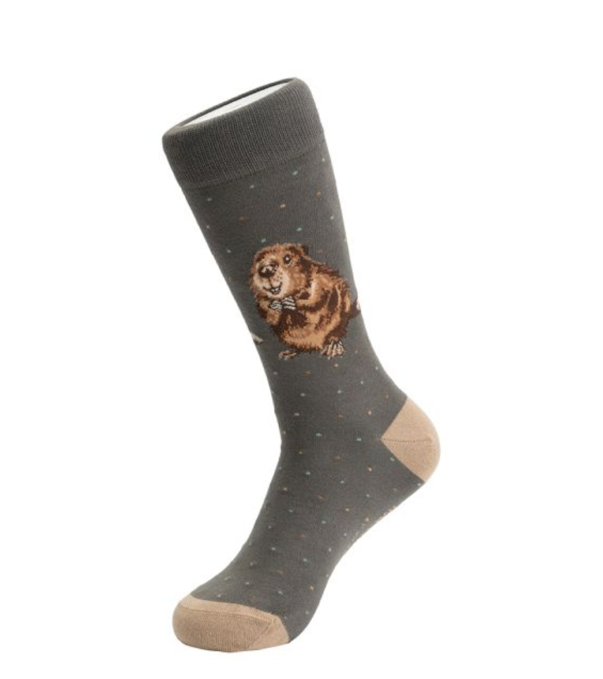 Wrendale The Arborist Beaver Men's Socks